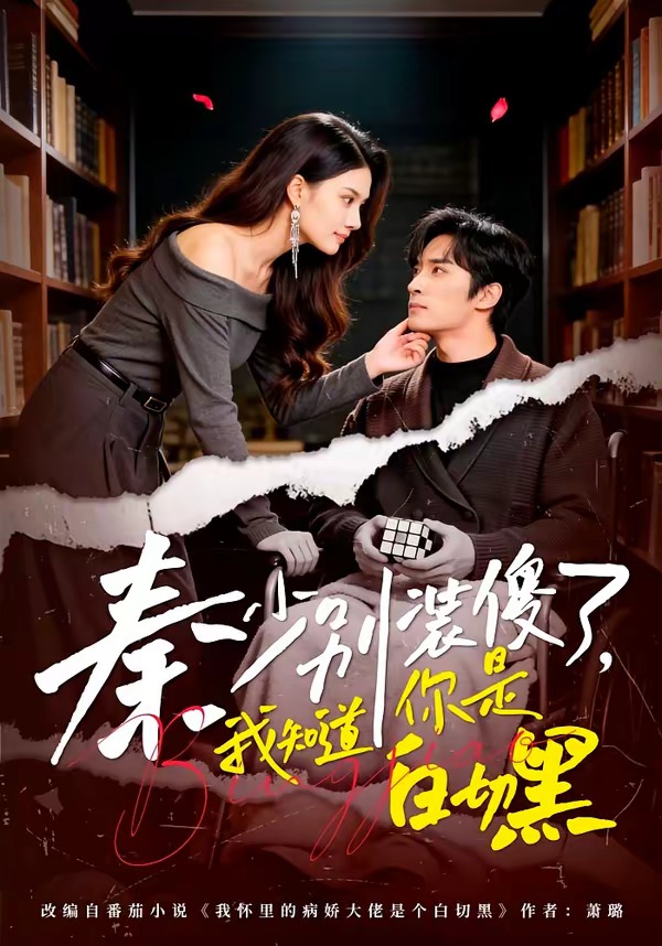 秦少别装傻了，我知道你是白切黑(全集)